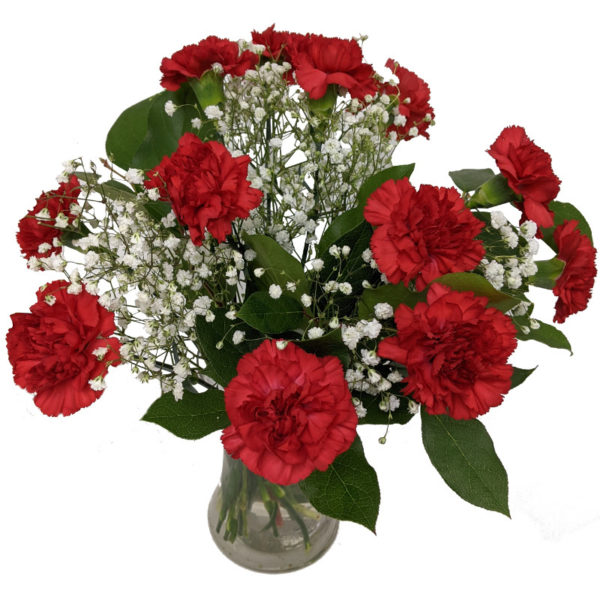 Red Carnations