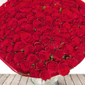 100 Red Roses